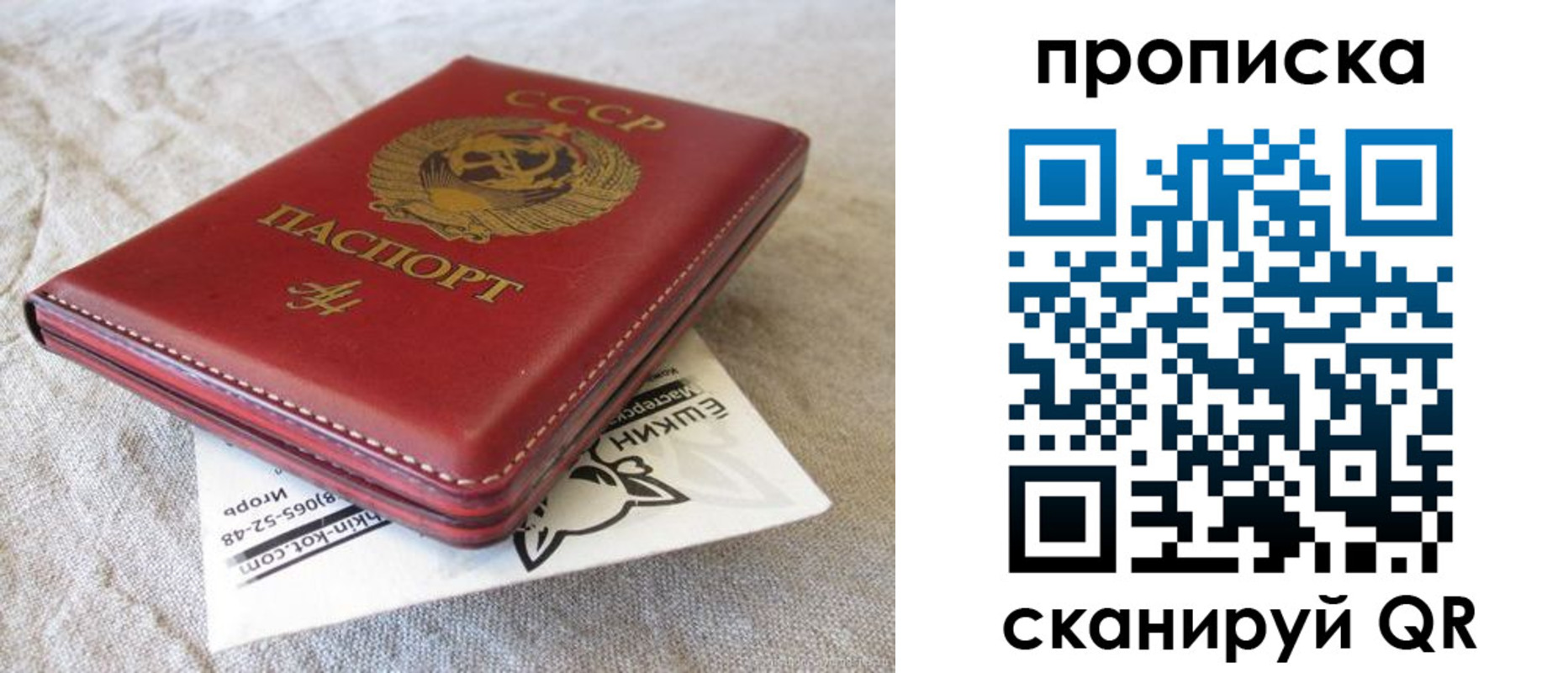 прописка для школы в Азове